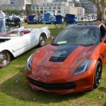 PlasticFantastic_0026 (May 17, 2015)